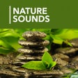 Icoon van programma: 1000 Nature Sleep Relax S…