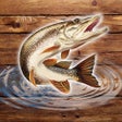 プログラムのアイコン：Fish Rain: fishing simula…