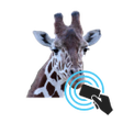 Icoon van programma: NCard - Tanzania