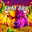 Icon of program: SKM 888