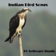 プログラムのアイコン：Indian Bird Sounds