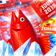 Ikon program: Ice Spring Fishing