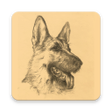 プログラムのアイコン：Dog Atlas
