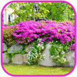 Ikona programu: Garden Design and Flowers…