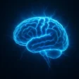 Icoon van programma: FogelMemory