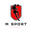 プログラムのアイコン：M Sport