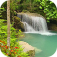 Icon of program: Tropical waterfall Video …
