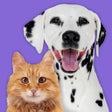 程序图标：Pet Parade: Cute Dog  Cat…