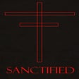 プログラムのアイコン：Sanctified