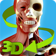 Ikon program: Easy Anatomy 3D - learn a…