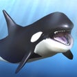 プログラムのアイコン：Orca  and marine mammals