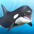 Orca  and marine mammals