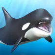 Ikona programu: Orca  and marine mammals
