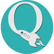 程序图标：Quick Launch