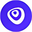 Icon of program: VisualEyes - Visual Insig…