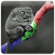 Иконка программы: HLS Player Simulator FREE
