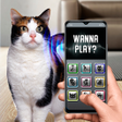 أيقونة البرنامج: Translator from cats to h…