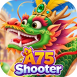 Icoon van programma: A75Shooter