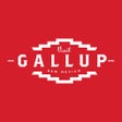 Programın simgesi: Visit Gallup NM
