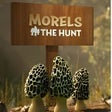 Icon of program: Morels: The Hunt