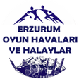 プログラムのアイコン：Erzurum Oyun Havaları int…