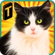 程序图标：Street Cat Sim 2016