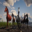 Icon of program: Another Mod For Horse Coa…