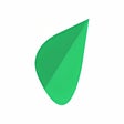 Green Leaf icon
