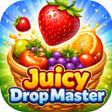 Icoon van programma: Juicy Drop Master