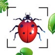 Icon of program: Insect Identification Bug ID