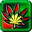 Icon of program: Green Weed HD Live Wallpa…