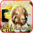 程序图标：Eid al adha greeting mess…