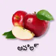 Learn Telugu Flash Cards