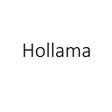 Programın simgesi: Hollama