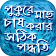 মছ চষ পদধত পকর মছ পলন Fishery Bangladesh