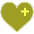 程序图标：Cholesterol Tracker