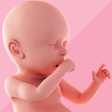 Icon of program: Pregnancy Tracker