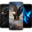 Иконка программы: Eagle Wallpaper 4K