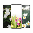 Ikona programu: Spring Live Wallpaper HD …