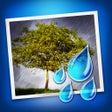 أيقونة البرنامج: Rainy Daze