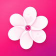 Programın simgesi: Simple Gallery: Quick Alb…