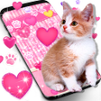 程序图标：Cute pink kitty live wall…