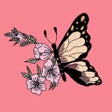 ไอคอนของโปรแกรม: Butterfly Wallpapers Art
