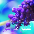 程序图标：Good Morning in Arabic