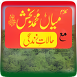 程序图标：Kalam Mian Muhammad Bakhs…