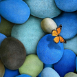 程序图标：Stone Wallpapers