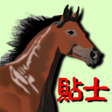 Иконка программы: Easy Win