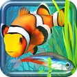プログラムのアイコン：Fish Farm 2
