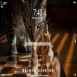 Programın simgesi: Chess MeaVana