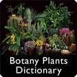 Icon of program: Botany Plants Dictionary